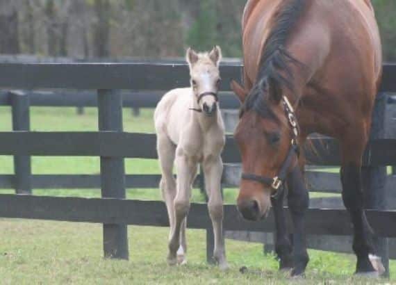 Two hoses, mom and baby