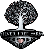 Silver Tree farm logo small