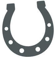 horse shoe icon