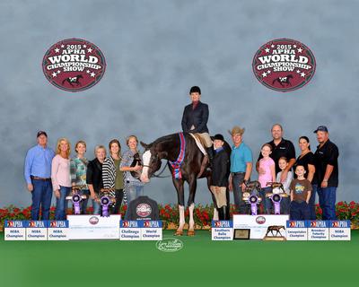 2015 APHA World Championship Show, Wow Factor