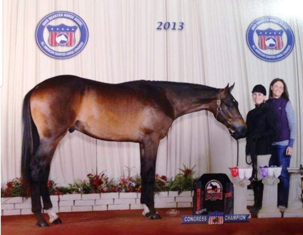 Ohio Quarter Horse Association 2013 Congress Champion