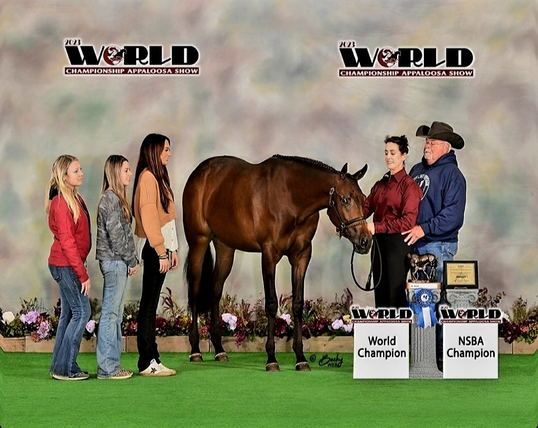 English World Championship Appaloosa Show